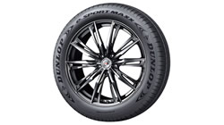 鄧祿普e.SPORT MAXX開(kāi)啟EV輪胎新紀(jì)元