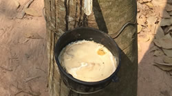 【集團新聞】保障供應，住友橡膠成立新加坡子公司