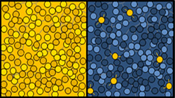 【集團新聞】傲領科技之先，住友橡膠最新成果